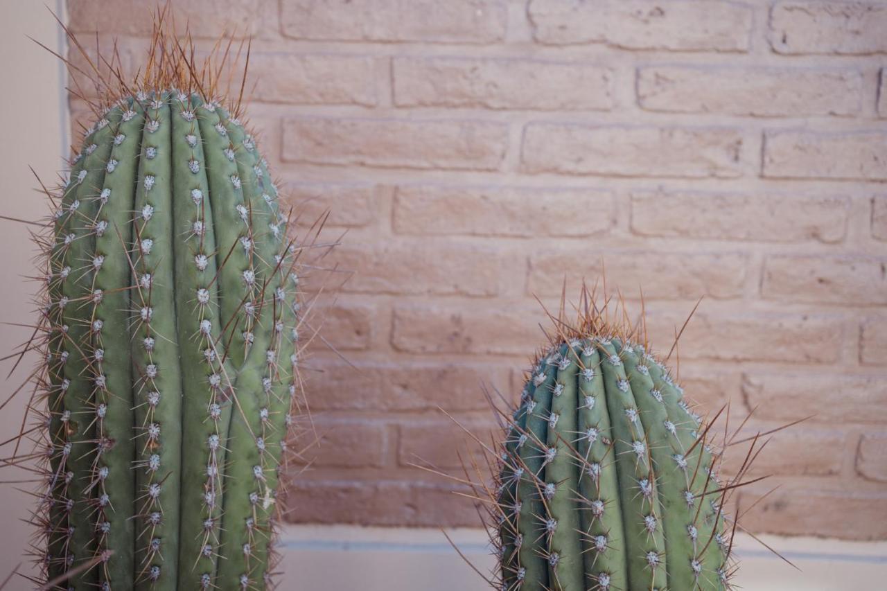 Luna De Cafayate Hotel Boutique Eksteriør billede