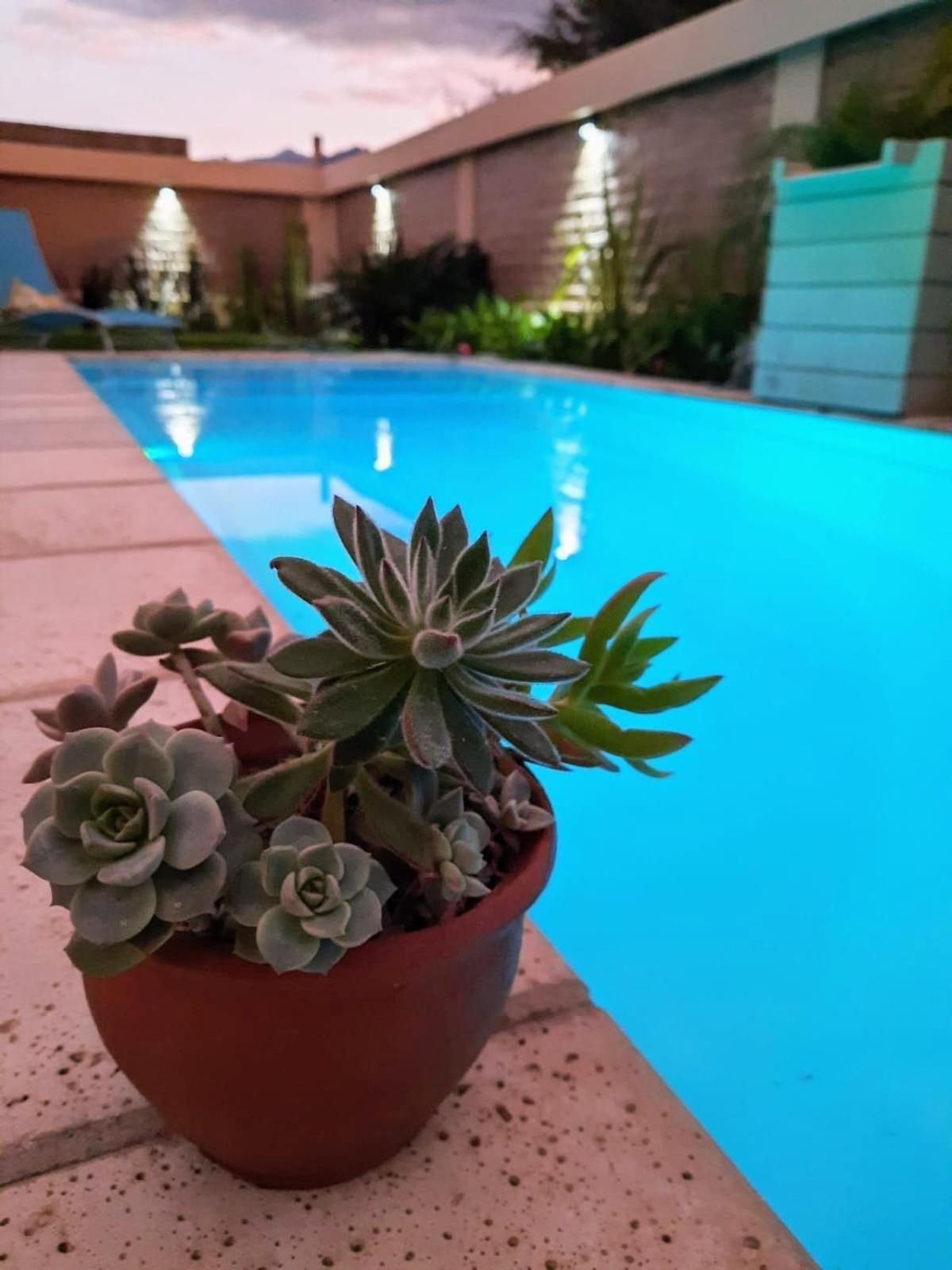 Luna De Cafayate Hotel Boutique Eksteriør billede