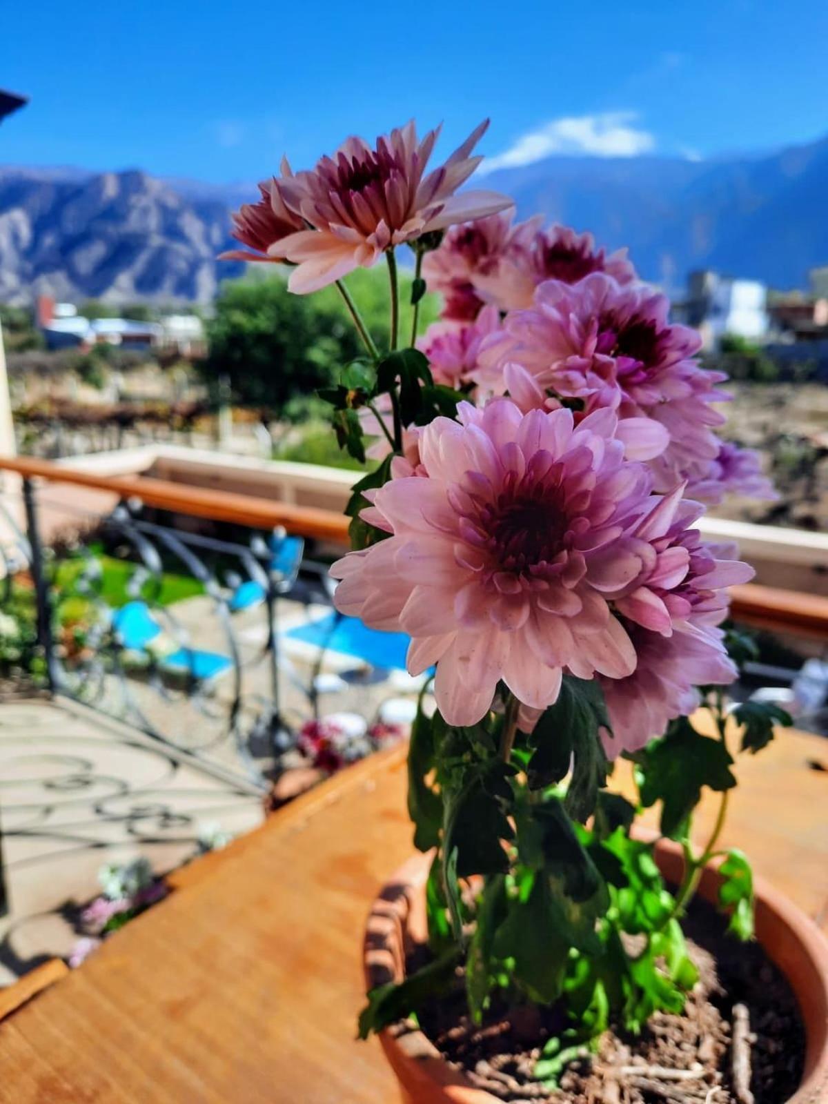 Luna De Cafayate Hotel Boutique Eksteriør billede